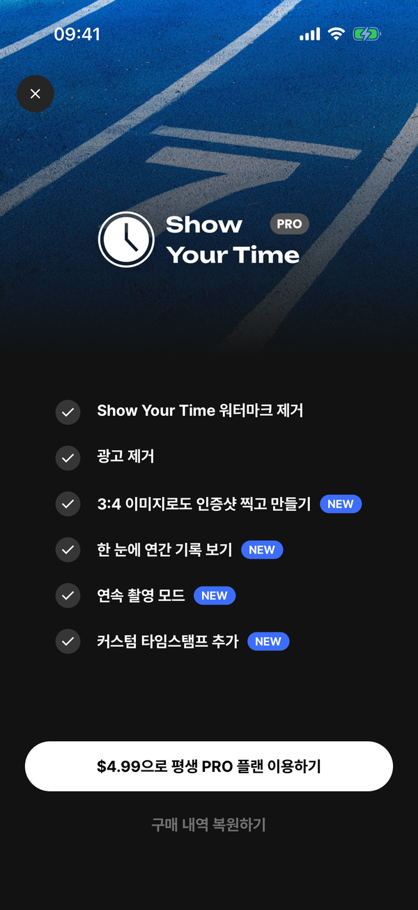 PRO 플랜 안내 화면. 포함된 기능 목록과 평생 PRO 플랜 이용하기 버튼, 구매 내역 복원하기가 있다