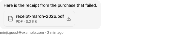 A message with an attached PDF: the file's name and size, ready to download